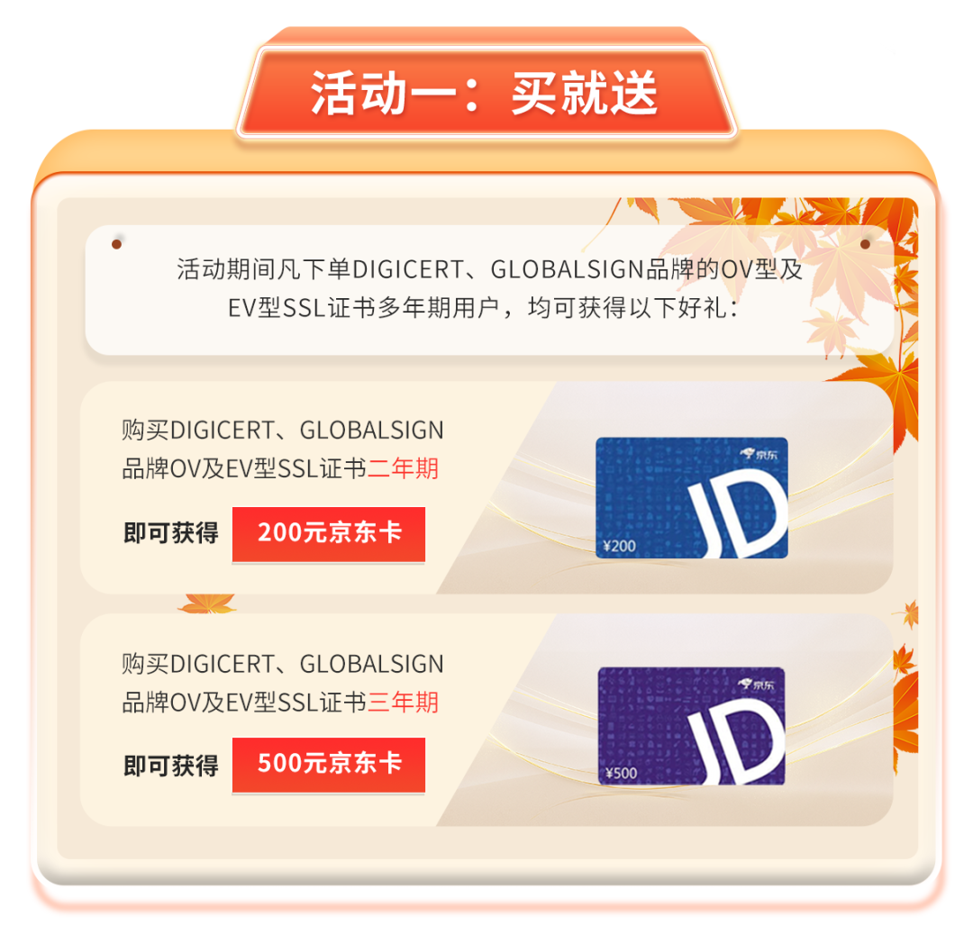 02.jpg