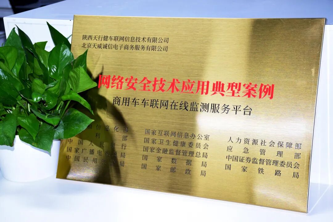 1769588860505037068.jpg 07.jpg