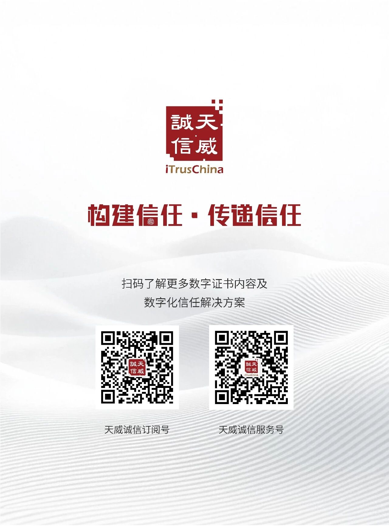 1774000624959068620.jpg 09.jpg