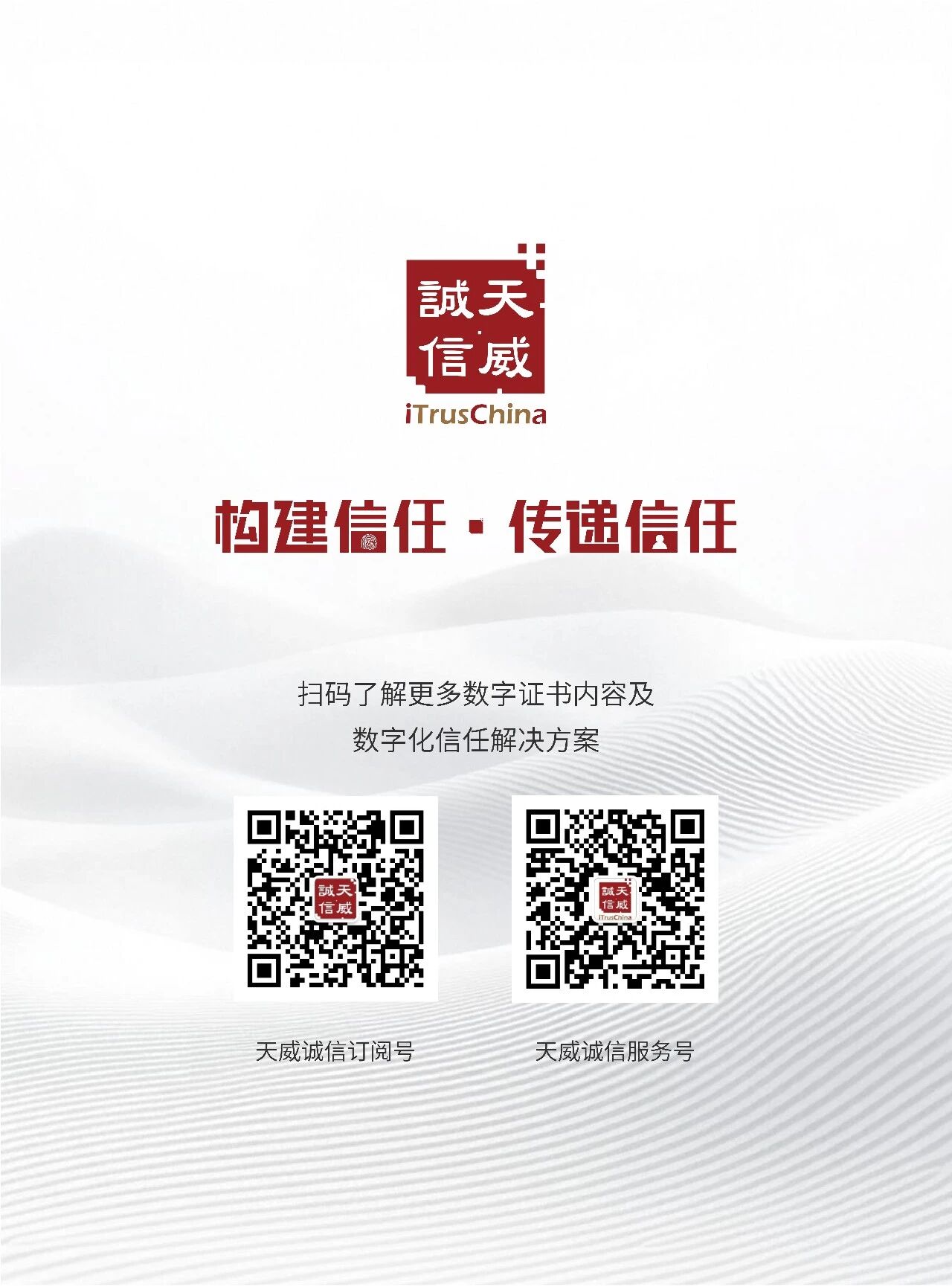 1775642197998012235.jpg 09.jpg