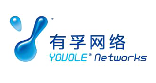 有孚网络